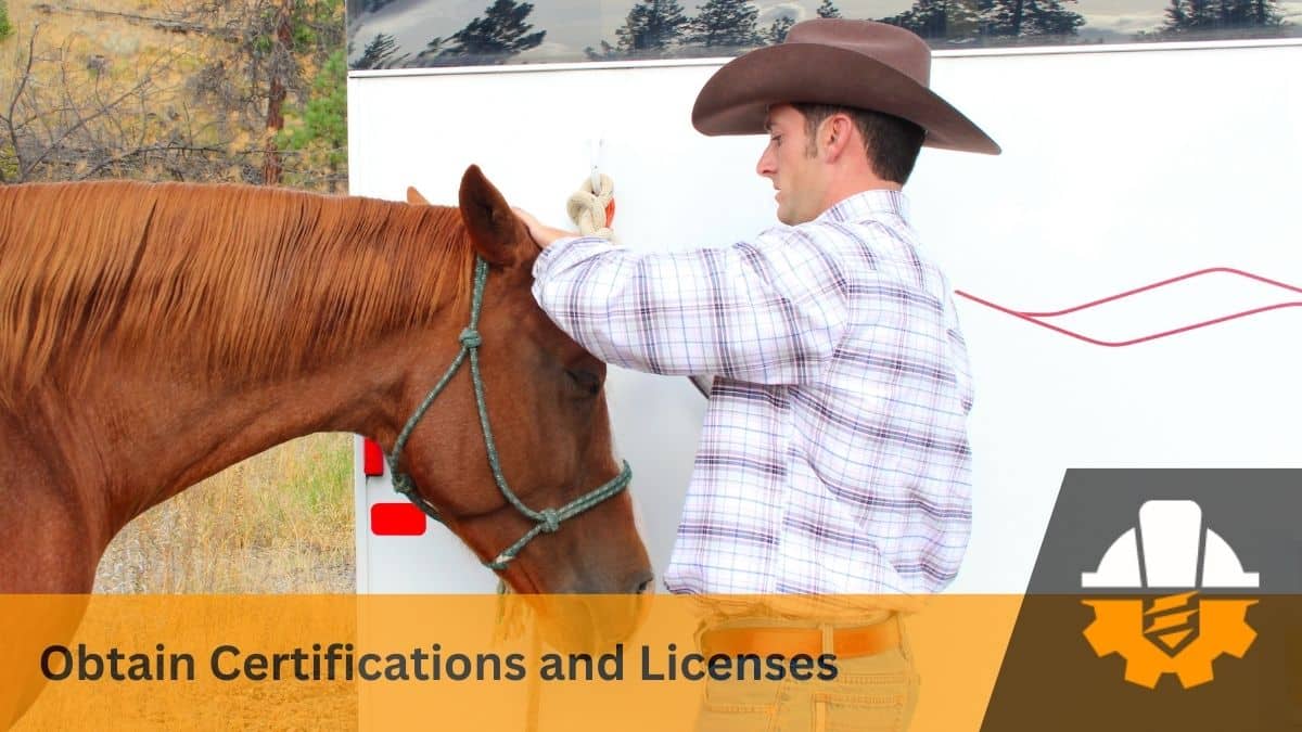 horse training certification