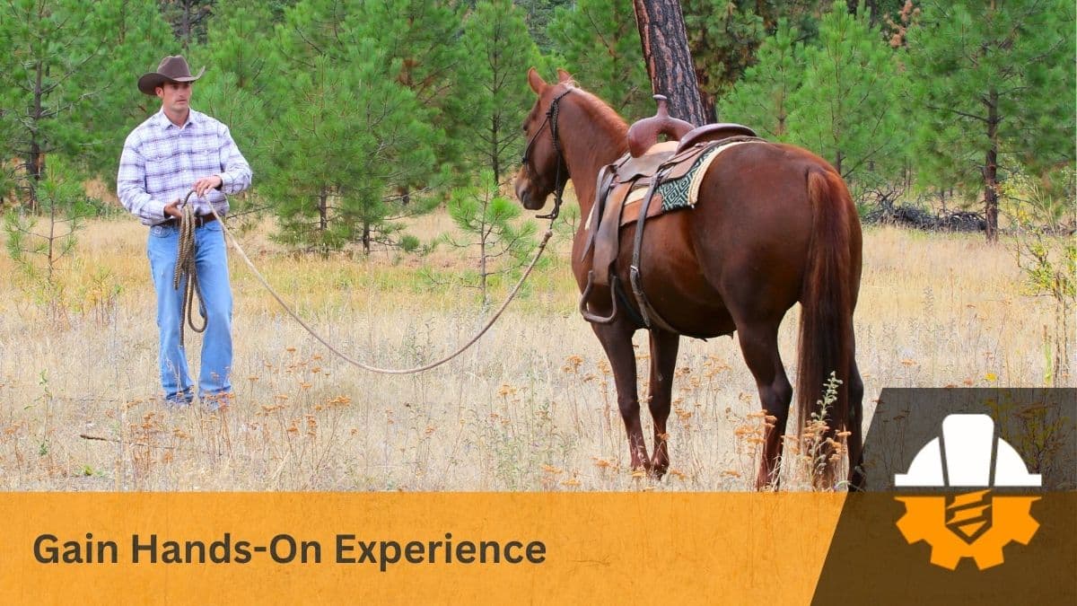 horse training experience