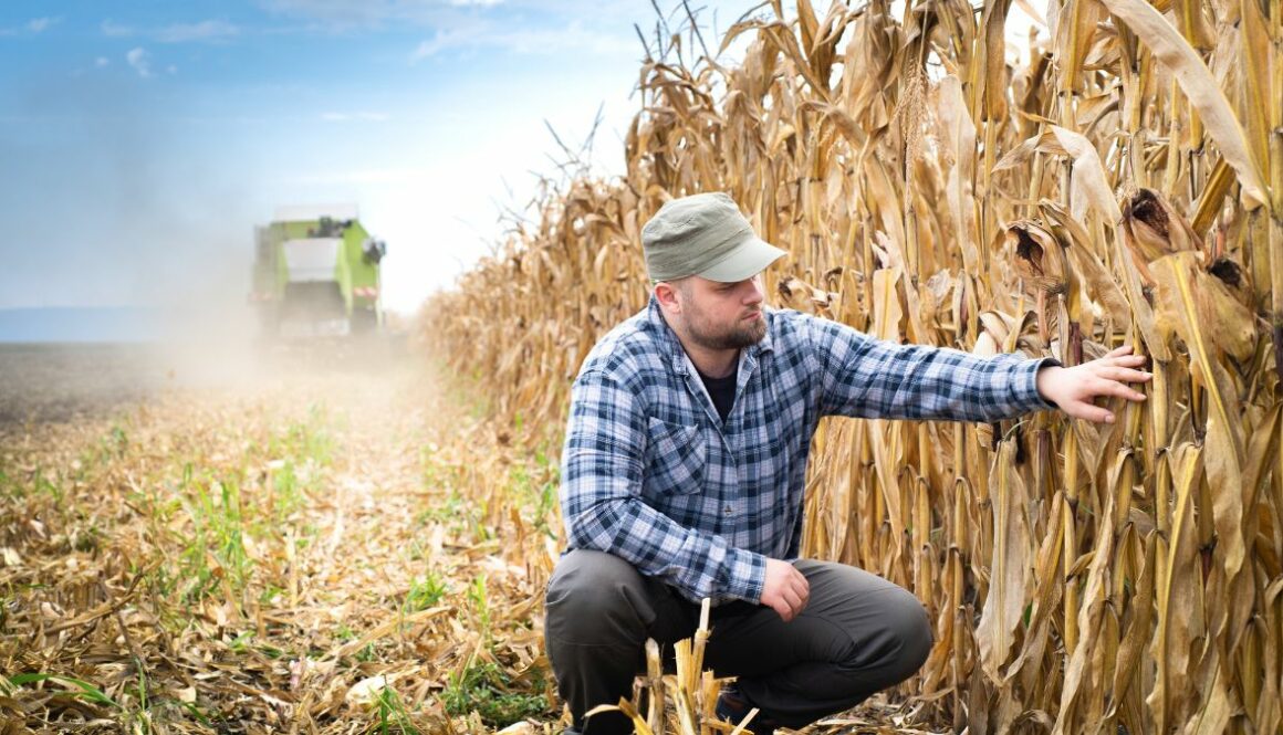 how-to-become-a-farmer