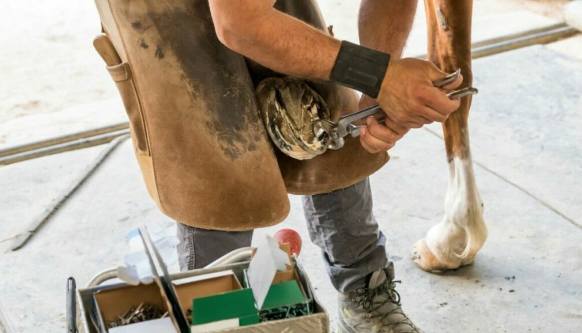 how-to-become-a-farrier