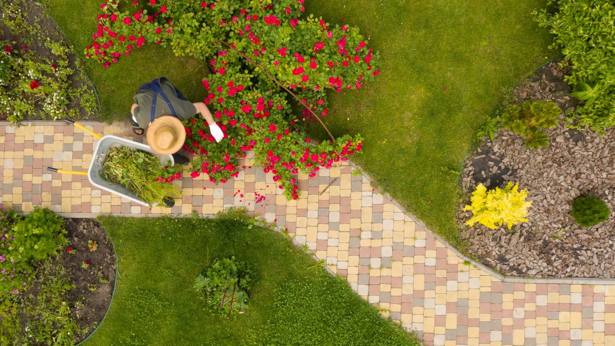 how-to-become-a-landscaper