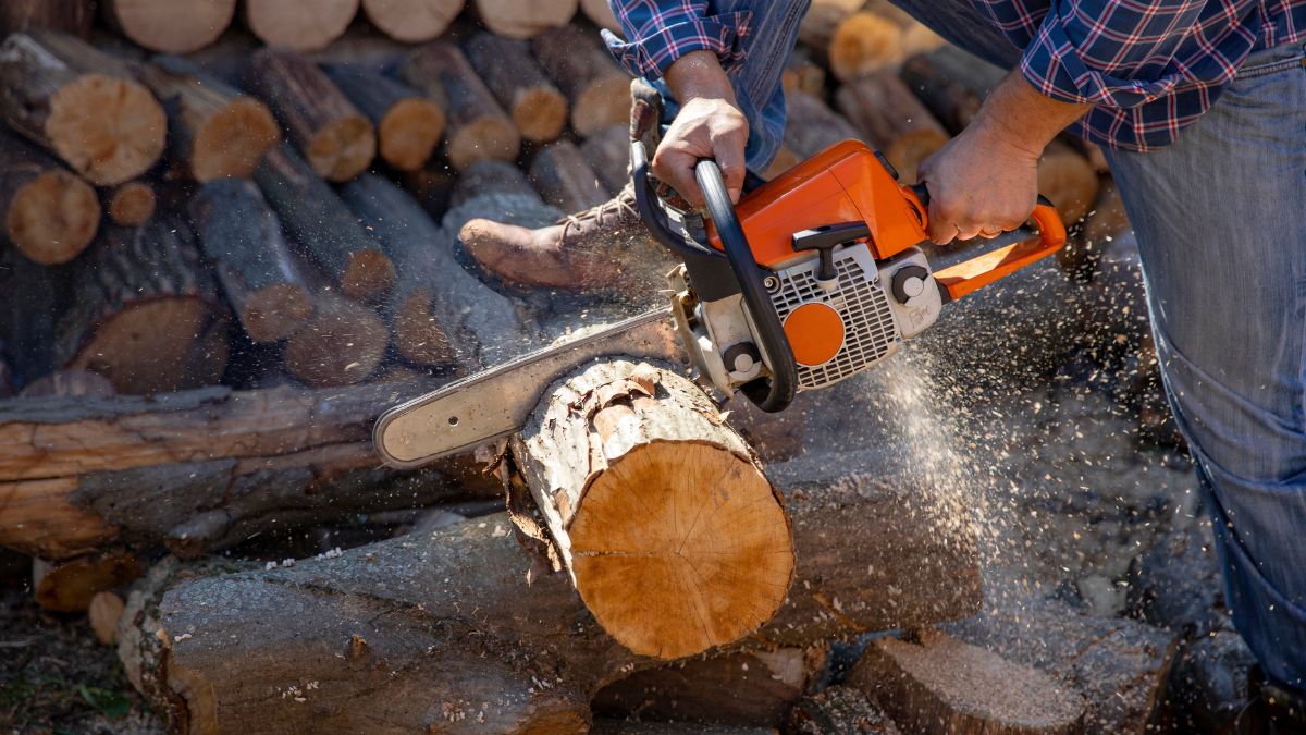 how-to-become-a-lumberjack