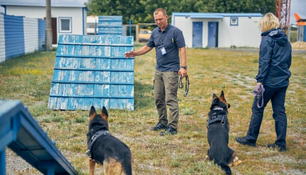 how-to-become-a-police-dog-trainer