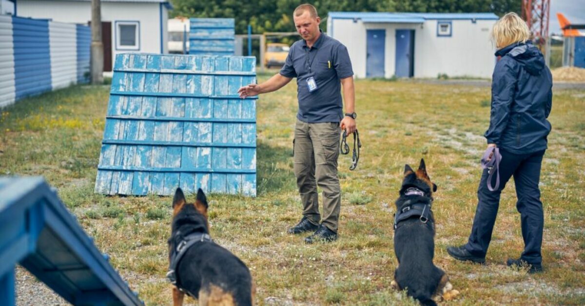 how-to-become-a-police-dog-trainer