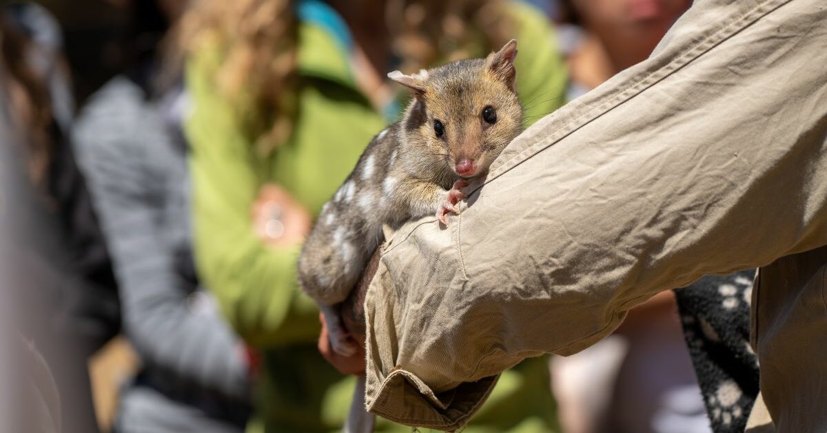 how-to-become-a-zoologist