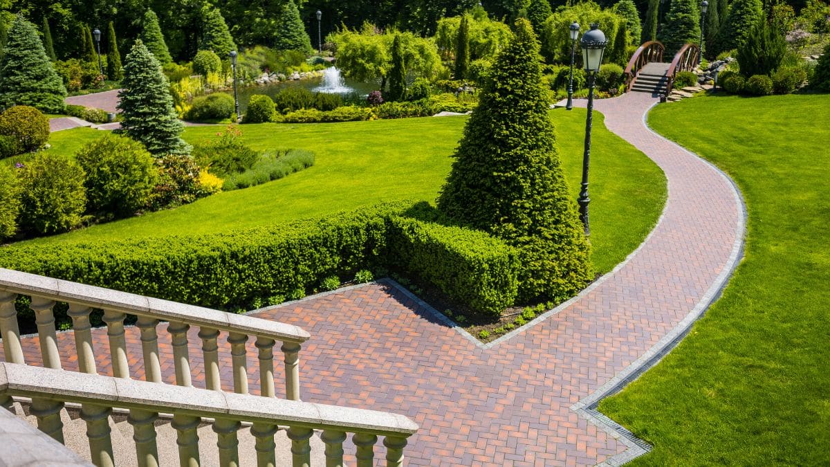 what-are-landscaping-design-skills